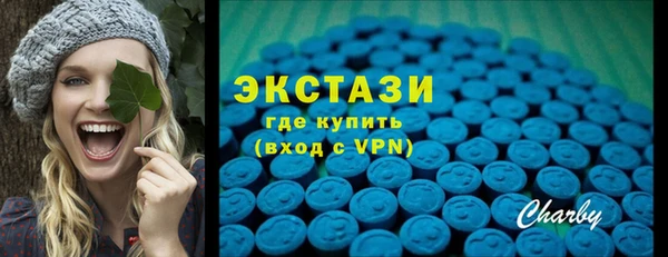 ECSTASY Богданович